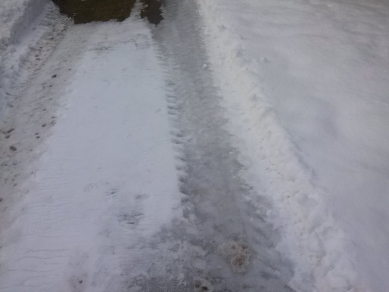 Dans l'équipe du Fondateur