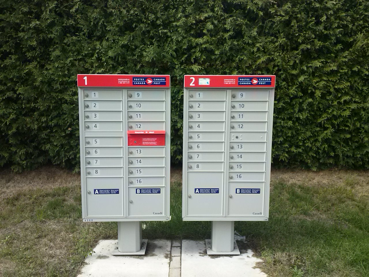 Dans l'équipe du Fondateur