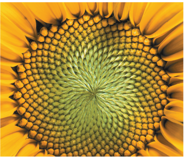 Sarahdghyn Louissaint